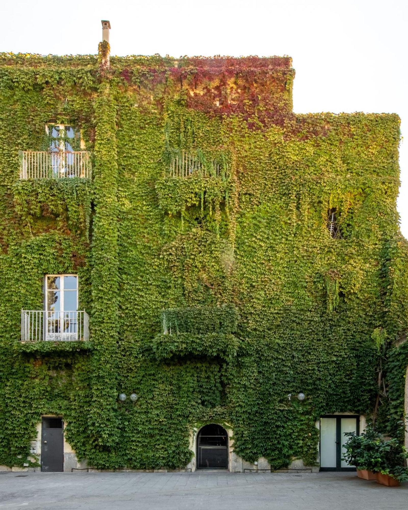 Palazzo De Gregorio Apartments Palermo Eksteriør bilde
